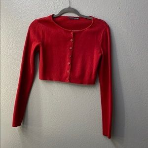 Brandy Melville Cropped Sweater